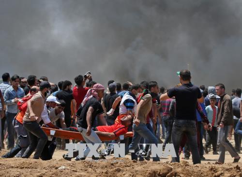  Một em bé Palestine 8 tháng tuổi thiệt mạng vì hơi cay của binh lính Israel ảnh 1
